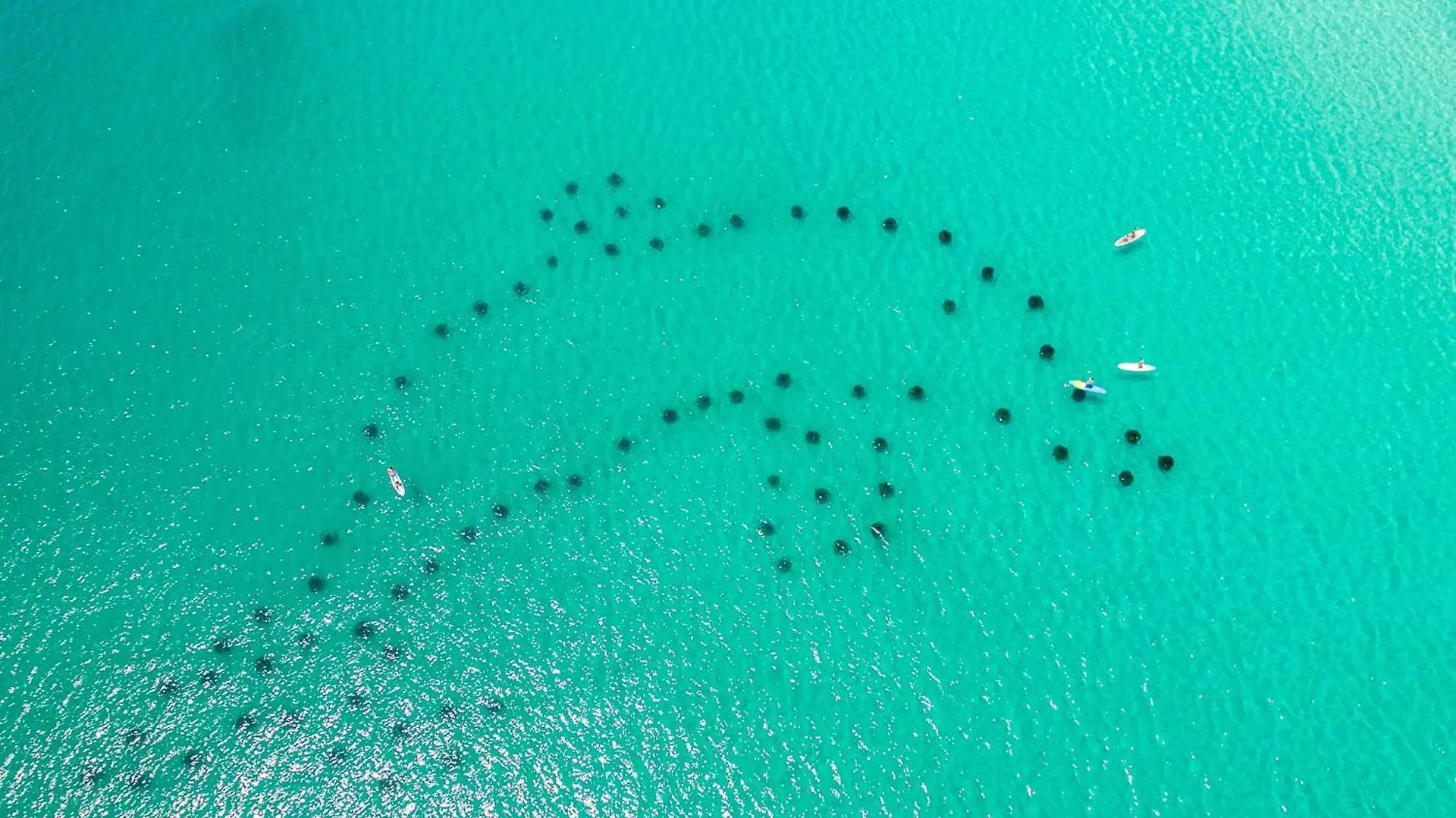 Sandpiper Cove 9125- By Holiday Isle Properties Destin United States